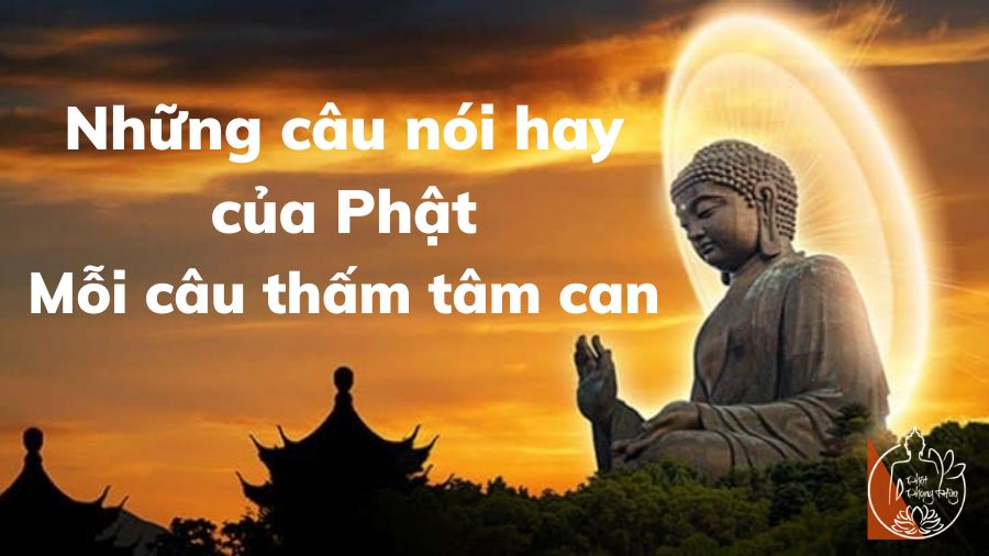 những câu nói hay của Phật