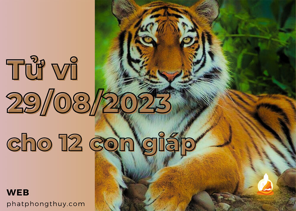 Tử vi 28/8/2023 cho 12 con giáp