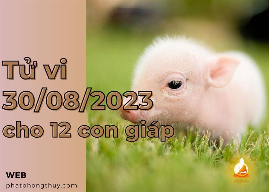 Tử vi 30/8/2023 cho 12 con giáp 