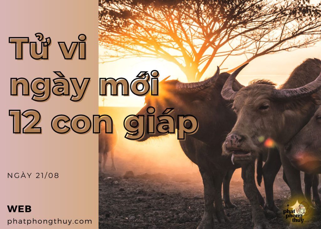 Tử vi ngày mới 12 con giáp 21/8/2023