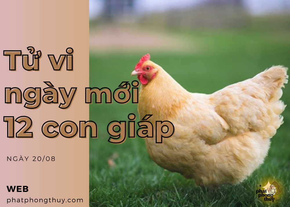 Tử vi ngày mới 12 con giáp ngày 20/8/2023