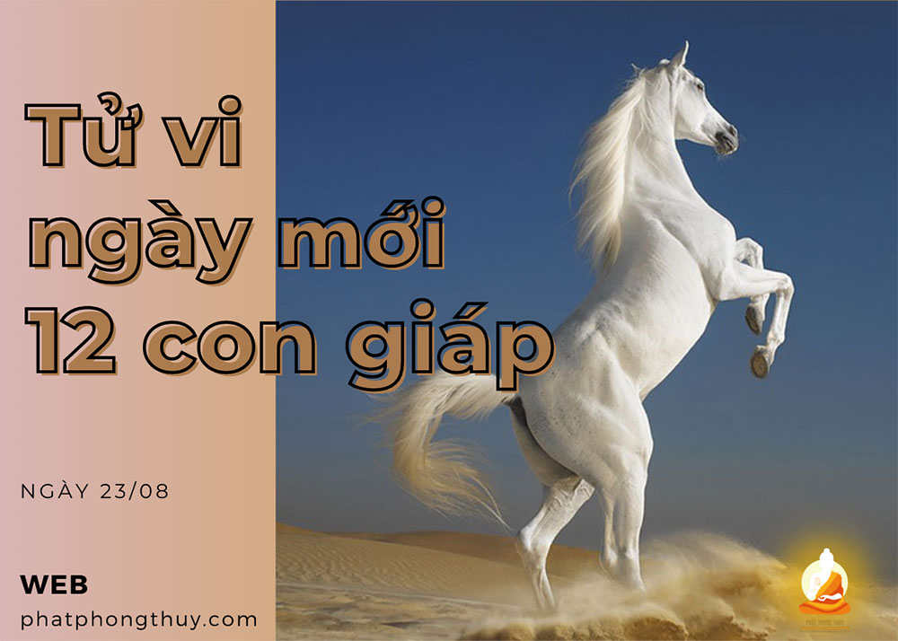 Tử vi ngày mới 12 con giáp ngày 23/8/2023