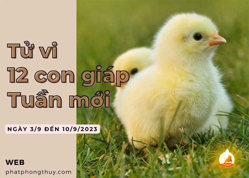 Tử vi tuần mới 4/9 đến 10/9/2023 của 12 con giáp
