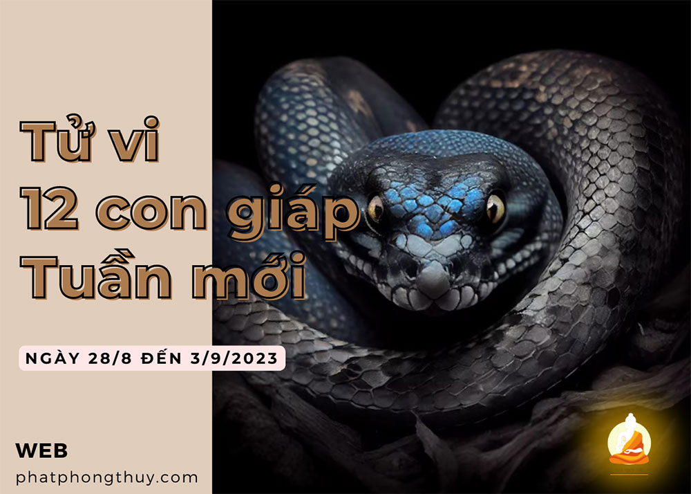 Tử vi 28/8 đến 3/9/2023 tuần mới 12 con giáp