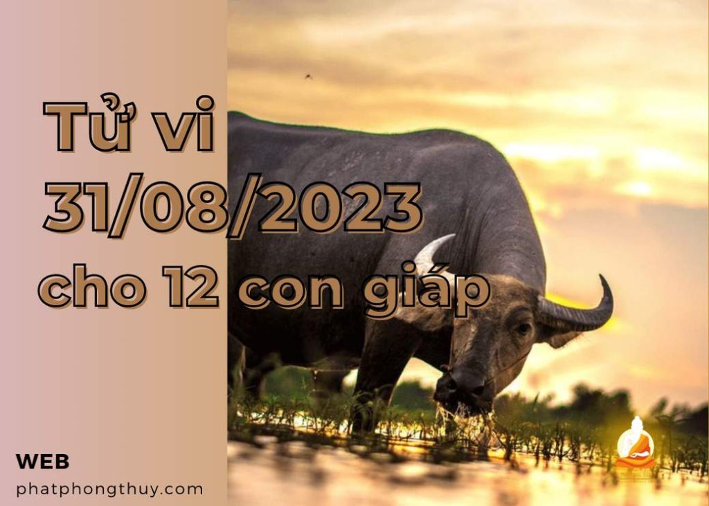 Tử vi 31/08/2023 cho 12 con giáp