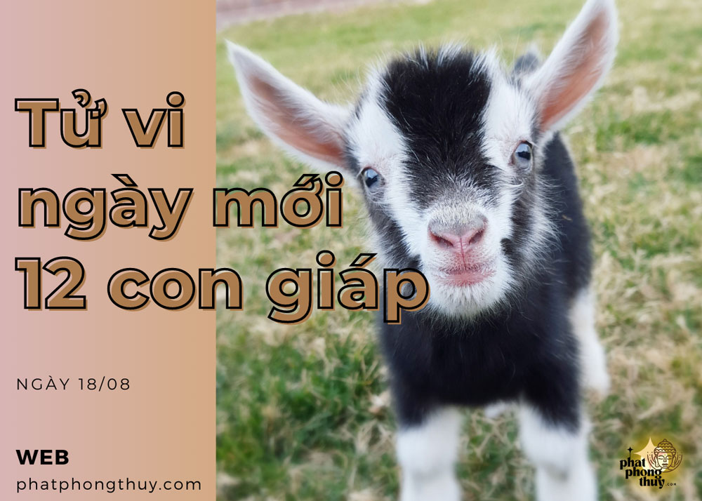 Tử vi ngày mới 12 con giáp 18/8/2023