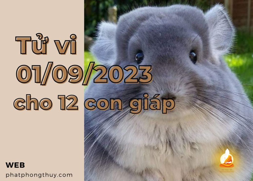 Trong bài viết này, chúng tôi đã hướng dẫn bạn các cách đơn giản để khôi phục lại các ứng dụng đã xóa trên thiết bị Android của mình. Qua việc sử dụng Google Play Store, tính năng "Thư viện ứng dụng", sao lưu và khôi phục thiết bị, cũng như sử dụng các ứng dụng khôi phục dữ liệu, bạn có thể dễ dàng đưa các ứng dụng quan trọng trở lại điện thoại của mình một cách nhanh chóng và tiện lợi. Hãy luôn nhớ thực hiện các bước sao lưu thường xuyên để đảm bảo rằng bạn sẽ không mất đi những dữ liệu quan trọng nếu điều gì đó xảy ra với thiết bị của bạn.