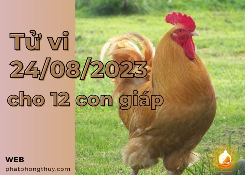 Tử vi 24/08/2023 cho 12 con giáp