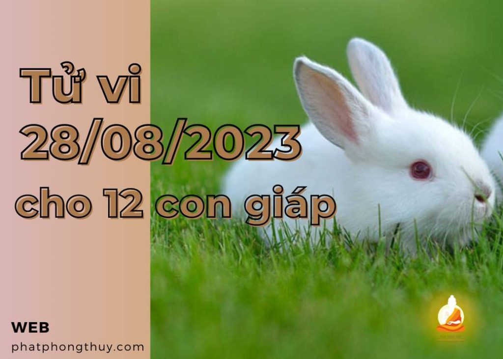 Tử vi 28/08/2023 cho 12 con giáp