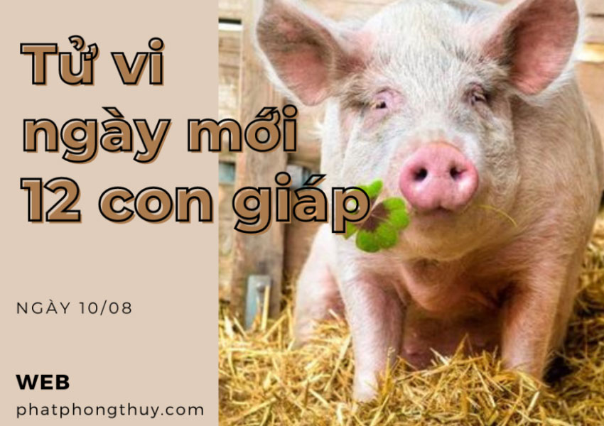 Tử vi ngày mới 12 con giáp 10/08/2023