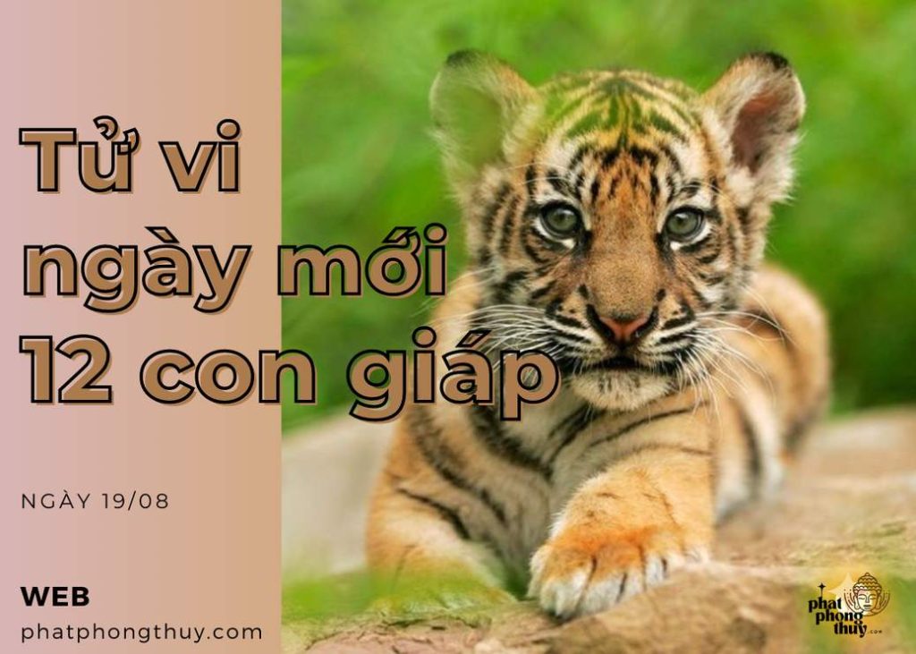 Tử vi ngày mới 12 con giáp 19/08/2023