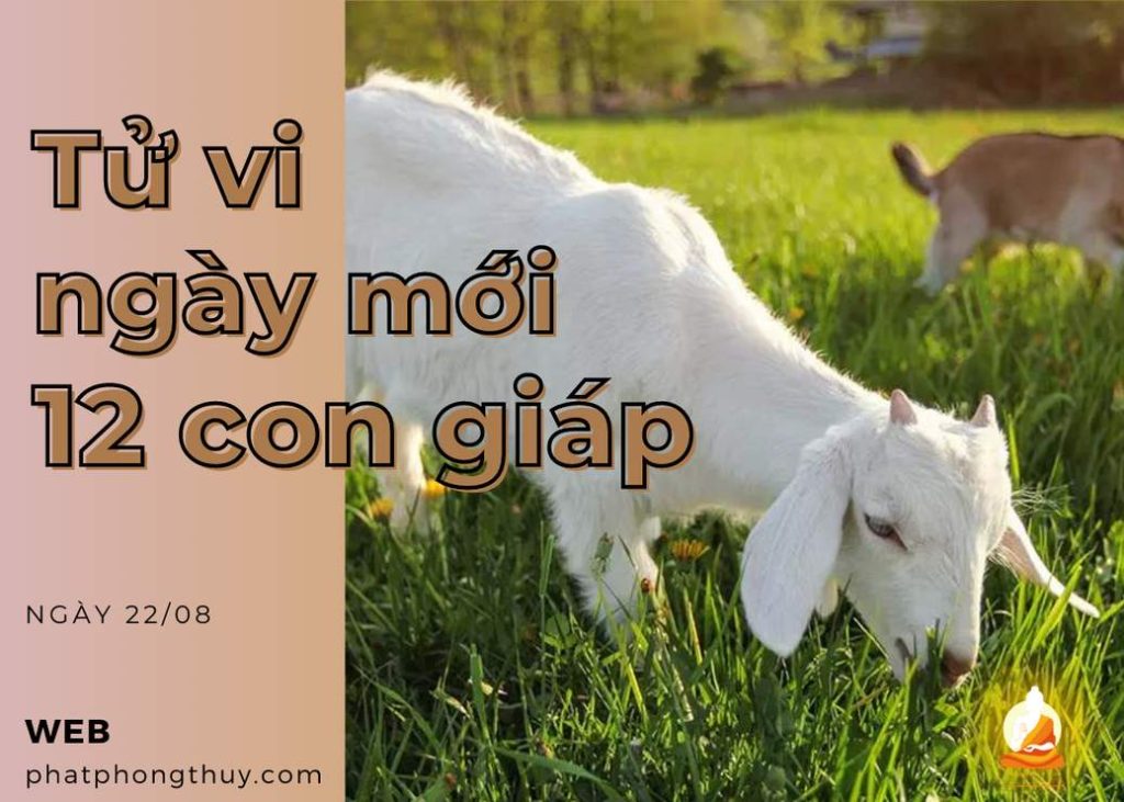 Tử vi ngày mới 12 con giáp ngày 22/08/2023