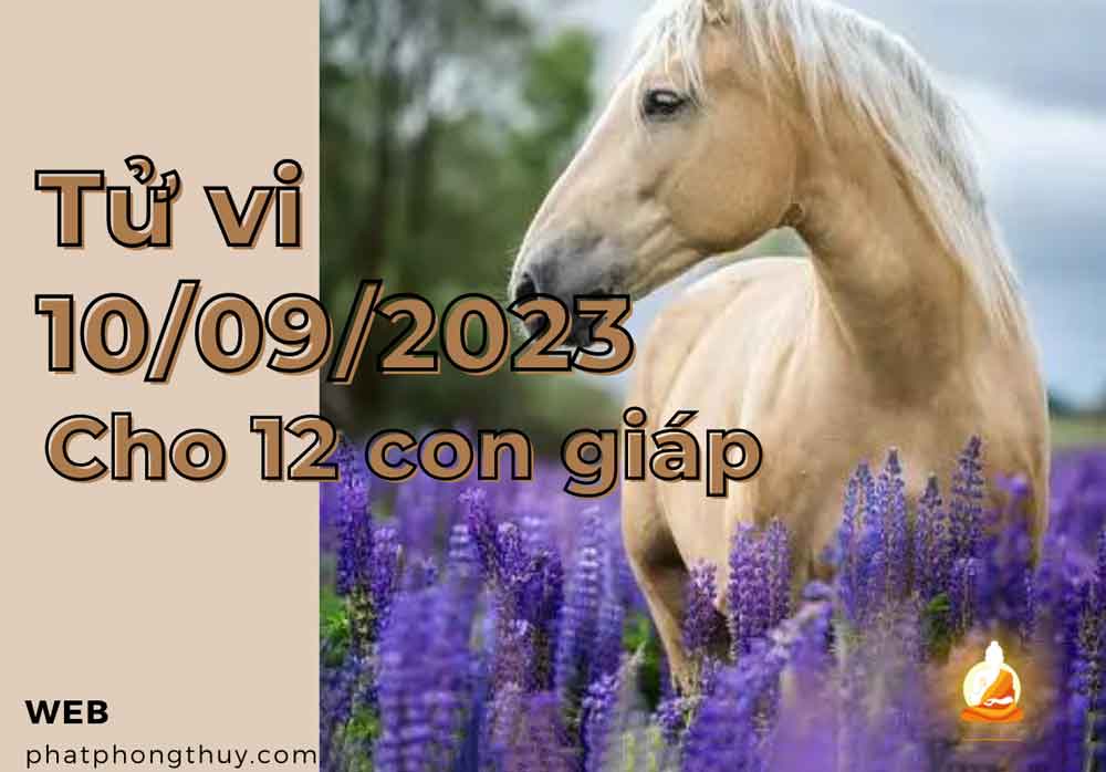 Tử vi 10/9/2023 của 12 con giáp