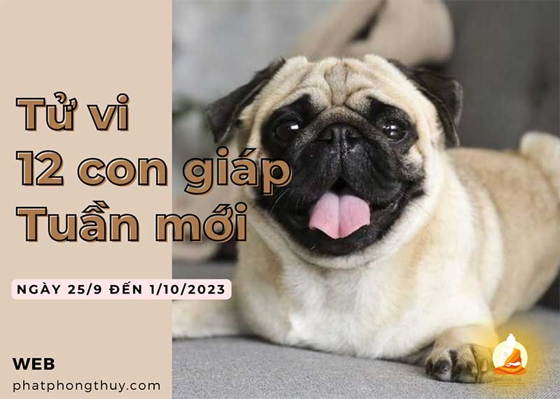 Tử vi tuần mới 25/9/2023 - 1/10/2023 của 12 con giáp