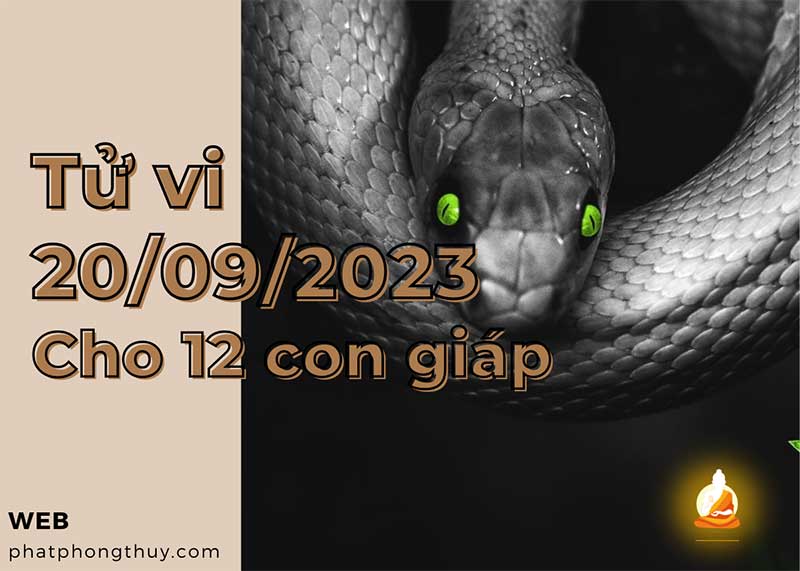 Tử vi 20/9/2023 cho 12 con giáp