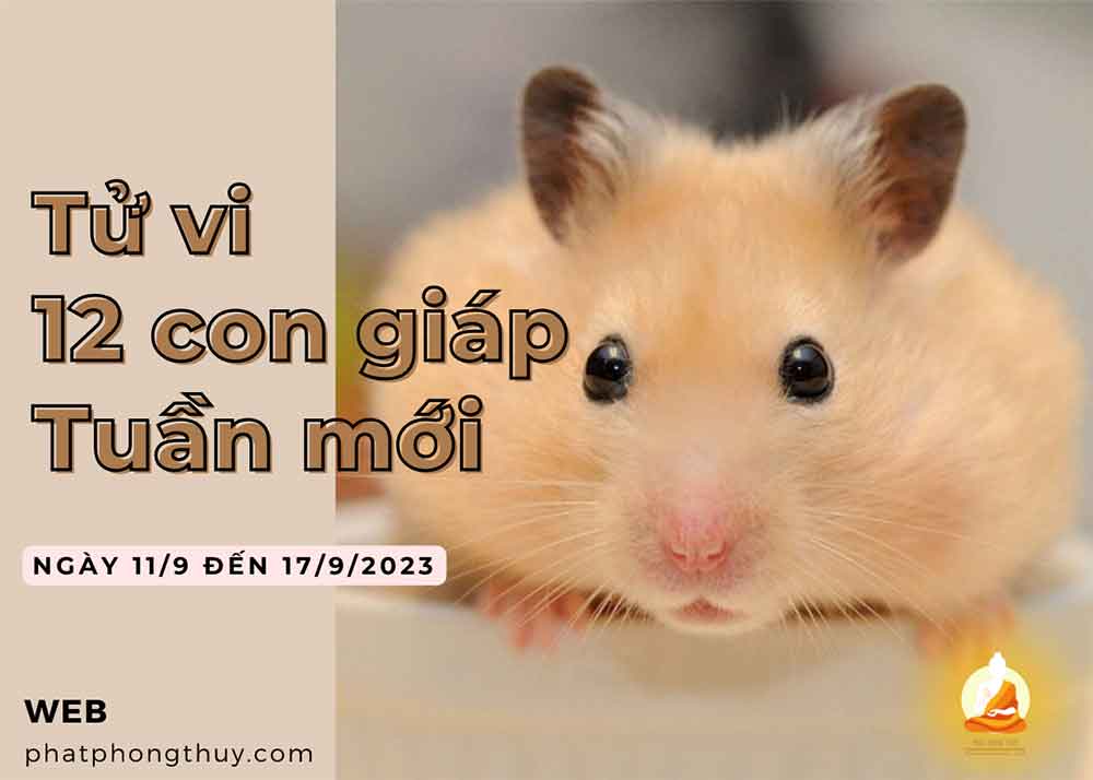 Tử vi tuần mới 11/9 - 17/9/2023 của 12 con giáp