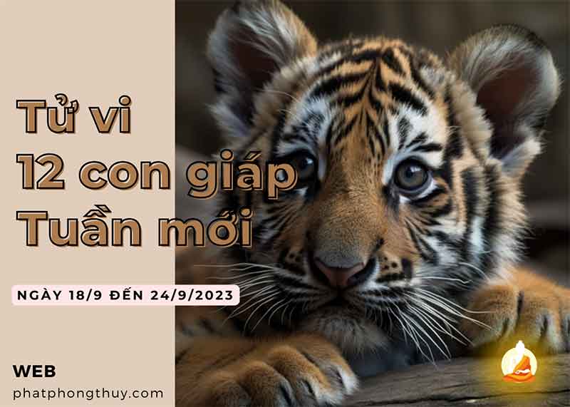 Tử vi tuần mới 18/9 - 24/9/2023 của 12 con giáp