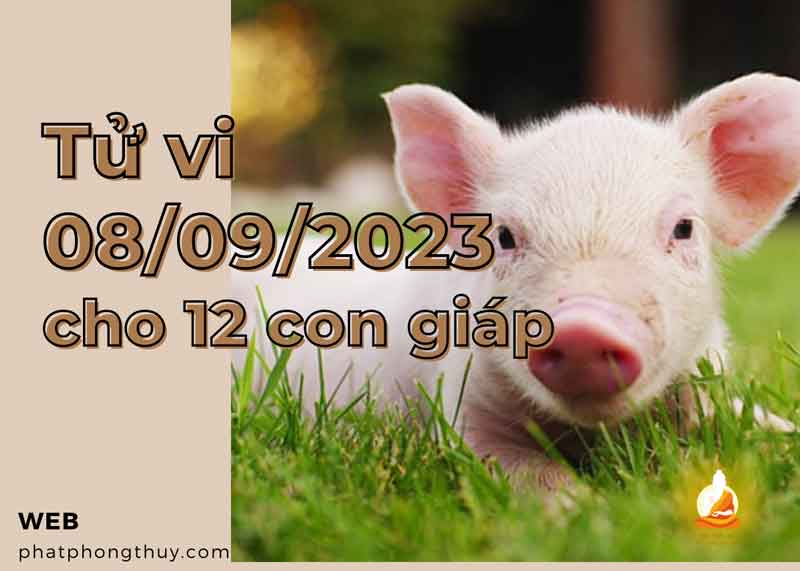 Tử vi 8/9/2023 cho 12 con giáp