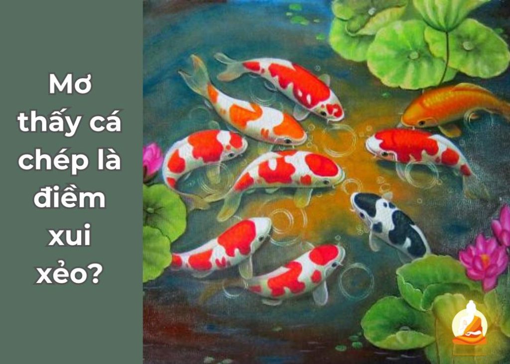 Mơ thấy cá chép là điềm xui xẻo?