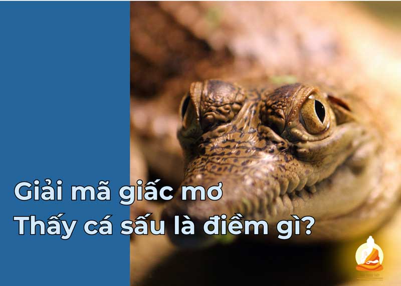 Giải mã giấc mơ thấy cá sấu là điềm gì? liên quan con số nào?