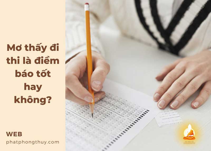 Mơ thấy đi thi là điềm báo tốt hay không?
