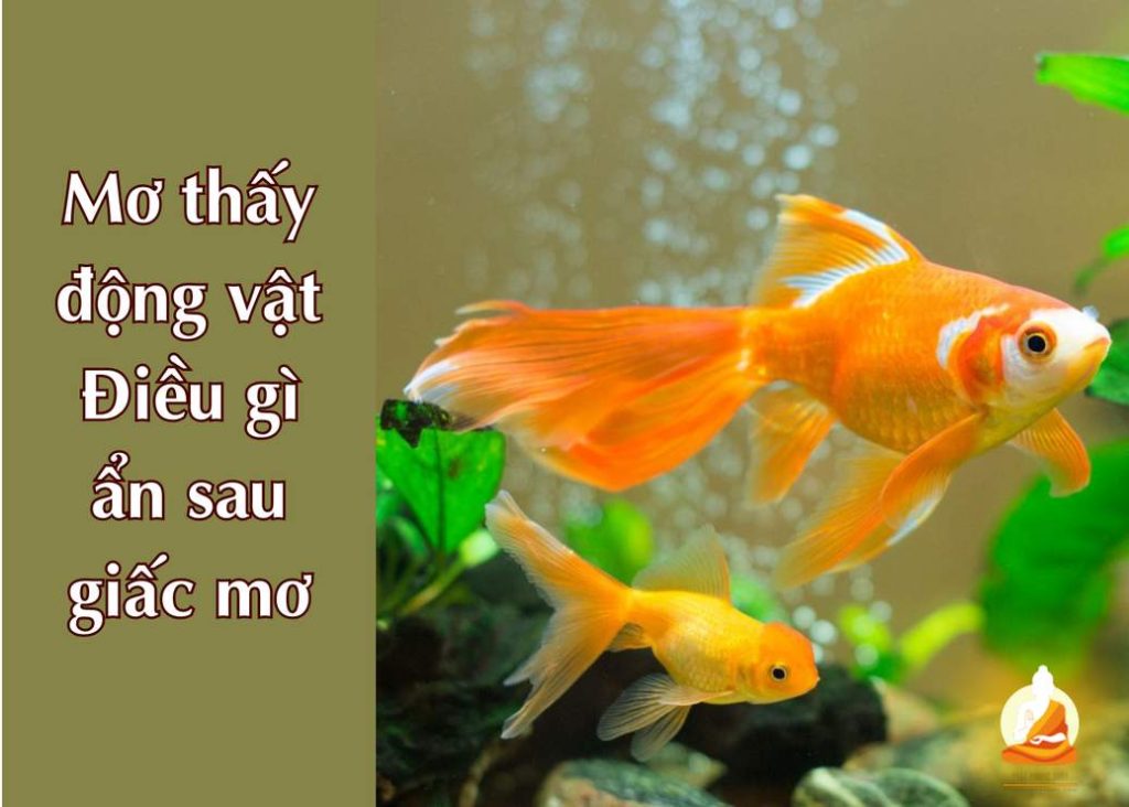 Mơ thấy động vật: Điều gì ẩn sau giấc mơ