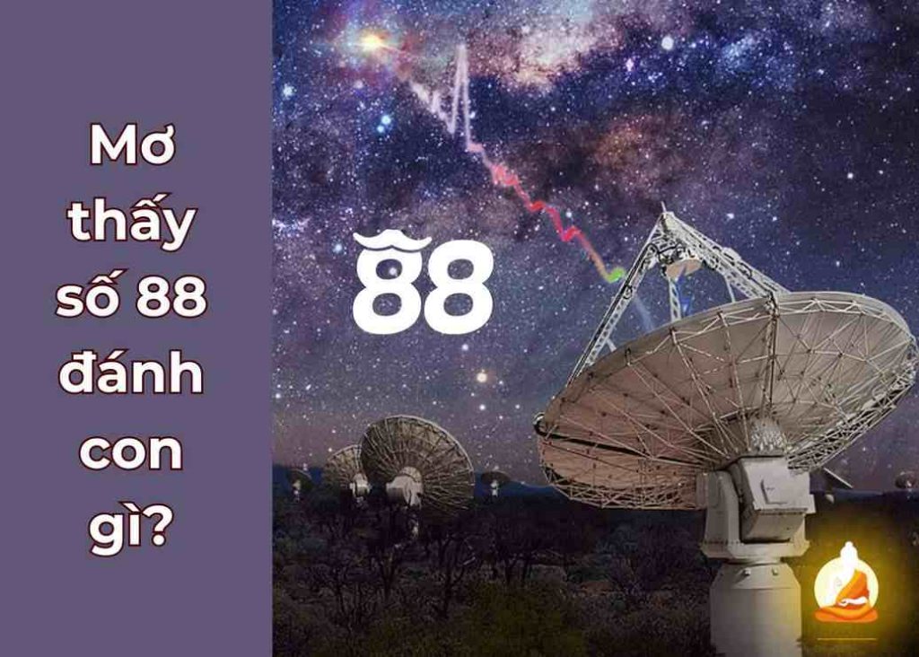 Mơ thấy số 88 đánh con gì?