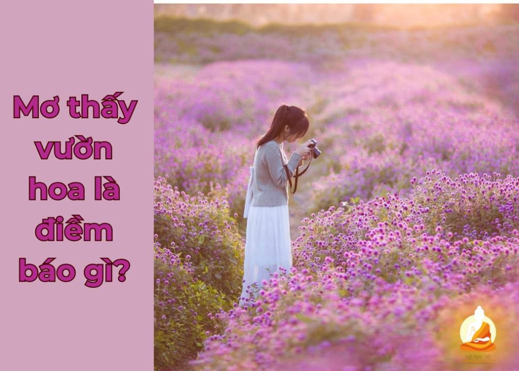 Mơ thấy vườn hoa là điềm báo gì?