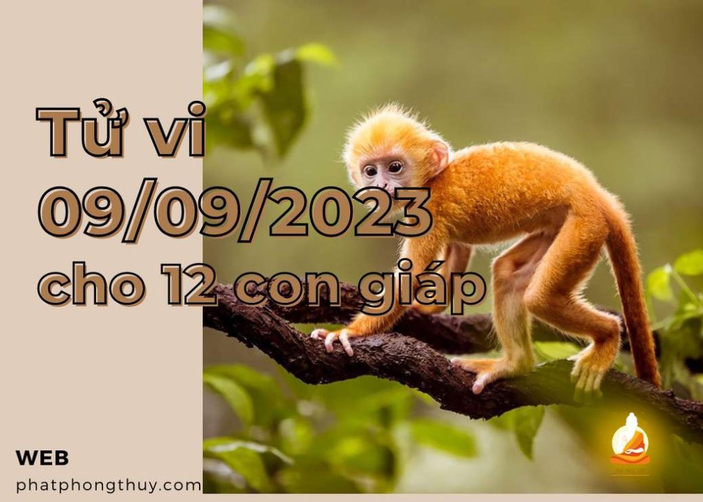 Tử vi ngày 09/09/2023 cho 12 con giáp