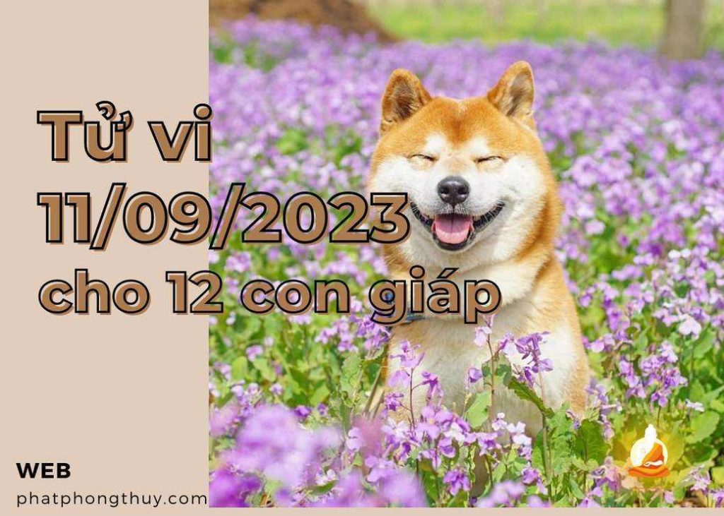 Tử vi 11/09/2023 cho 12 con giáp