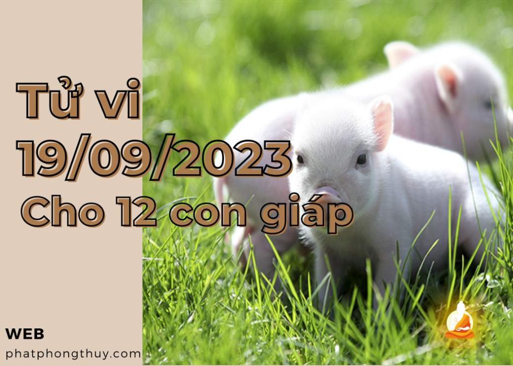 Tử vi 19/09/2023 cho 12 con giáp