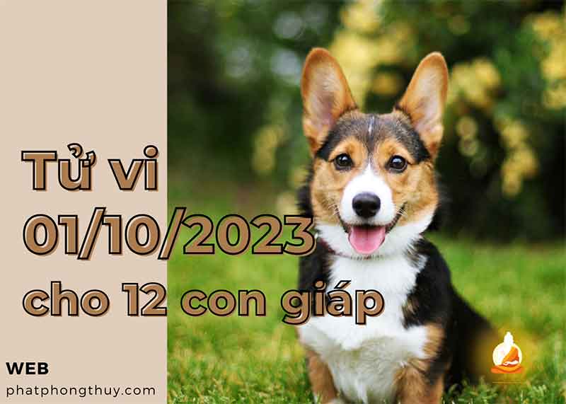 Tử vi 1/10/2023 của 12 con giáp Mão nên cẩn thận, Tuất cần tập trung