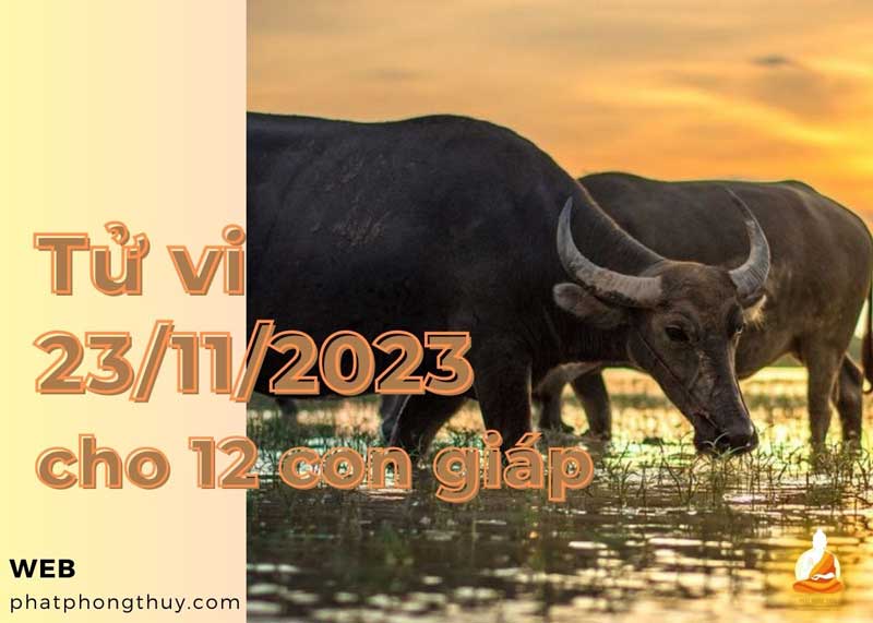 Tử vi ngày 23/11/2023 của 12 con giáp: Sửu thuận lợi, Tỵ rắc rối