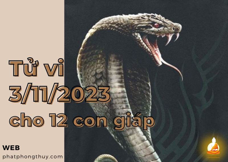 Tử vi 6/11/2023 của 12 con giáp: Mão cơ hội, Dậu bình tĩnh