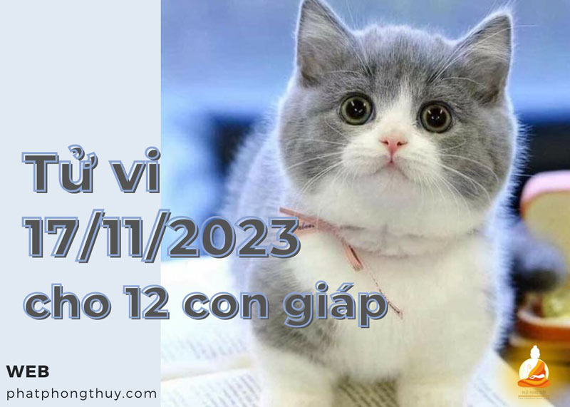 Tử vi ngày 17/11/2023 của 12 con giáp: Mão căng thẳng, Dậu xốc nổi