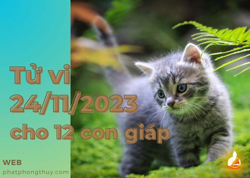 Tử vi ngày 24/11/2023 của 12 con giáp: Mão quý nhân phù trợ, Hợi rắc rối