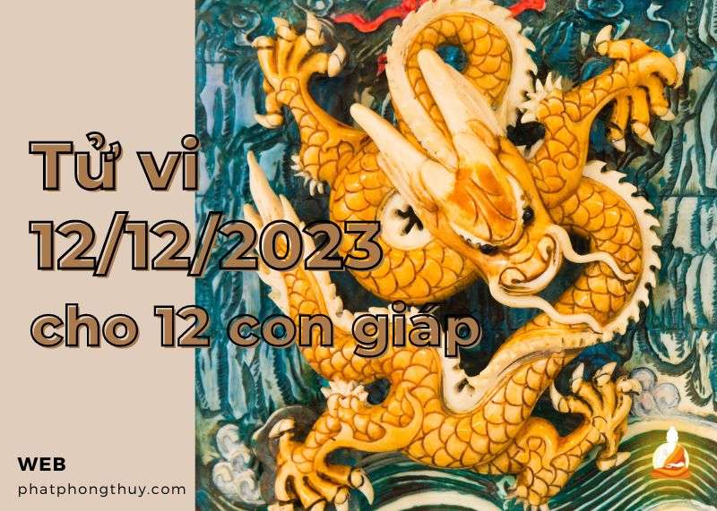 Tử vi ngày 12/12/2023 của 12 con giáp: Mão kiên cường, Thìn may mắn