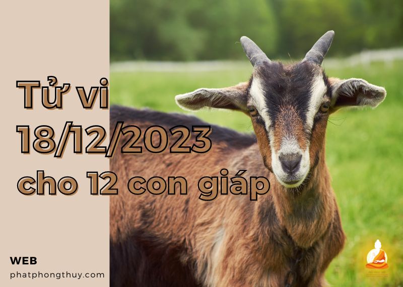 Tử vi ngày 18/12/2023 của 12 con giáp: Sửu ổn định, Mùi chăm chỉ