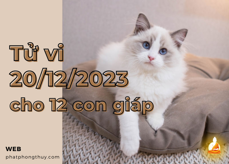 Tử vi ngày 20/12/2023 của 12 con giáp: Mão thận trọng, Thìn buồn bực
