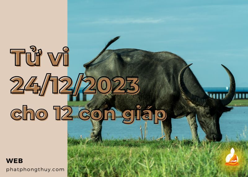 Tử vi ngày 24/12/2023 của 12 con giáp: Sửu chủ động, Ngọ nóng nảy
