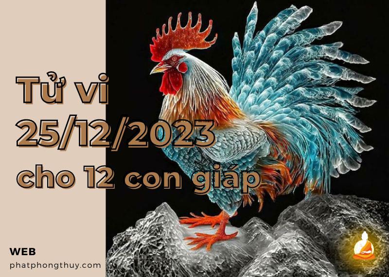 Tử vi ngày 25/12/2023 của 12 con giáp: Tý sắc bén, Thân bình tĩnh