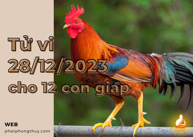 Tử vi ngày 28/12/2023 của 12 con giáp: Tỵ thuận lợi, Dậu thất thường