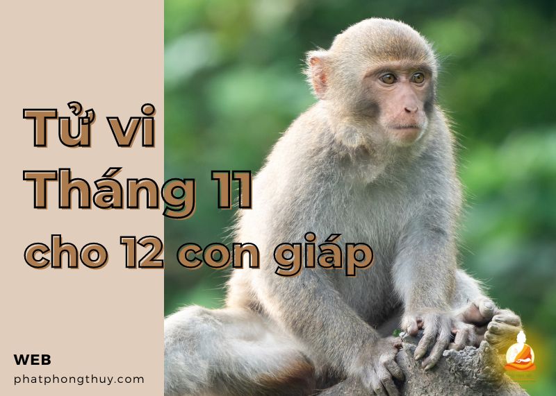 Tử vi tháng 11/2023 âm lịch của 12 con giáp: Thân nhanh nhẹn, Tuất bận rộn