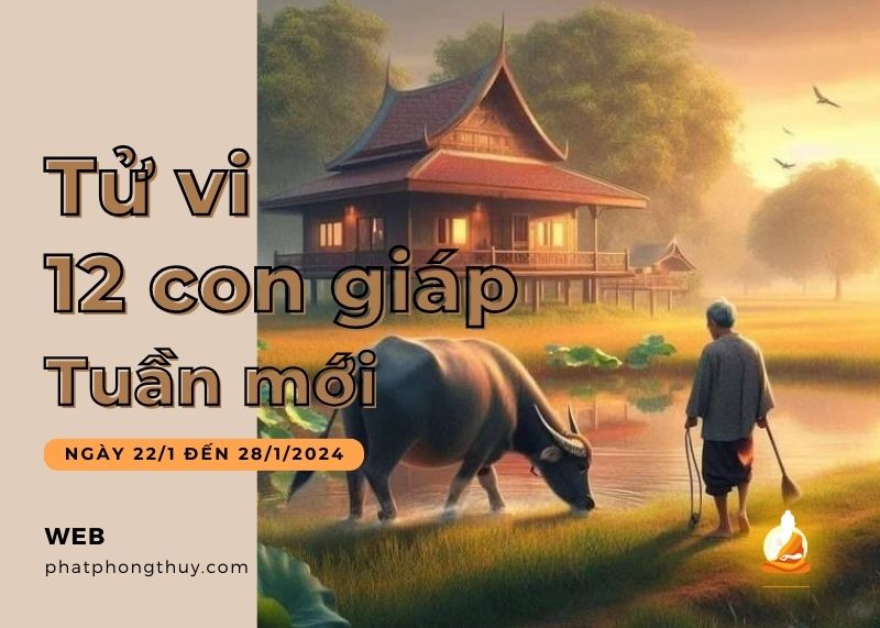Tử vi tuần mới 22/1 - 28/1/2024 của 12 con giáp: Tý bảo thủ, Sửu thịnh vượng