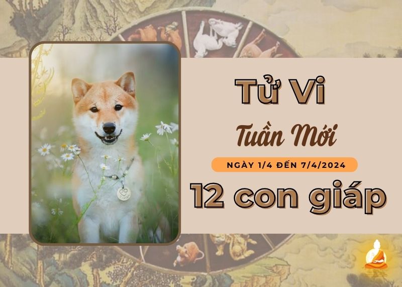 Tử vi tuần mới 1/4 -7/4/2024 của 12 con giáp: Mùi tài lộc vượng phát, Tuất một tuần không như mong đợi