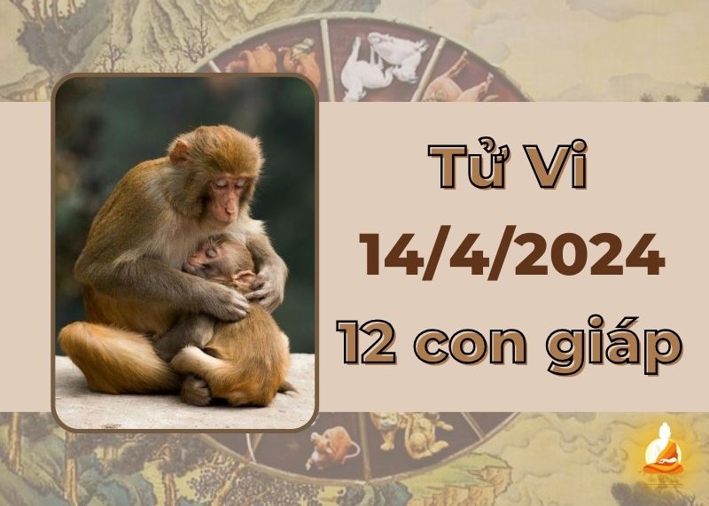 Tử vi ngày 14/4/2024 của 12 con giáp: Thìn tình cảm thăng hoa, Thân một ngày nhiều năng lượng