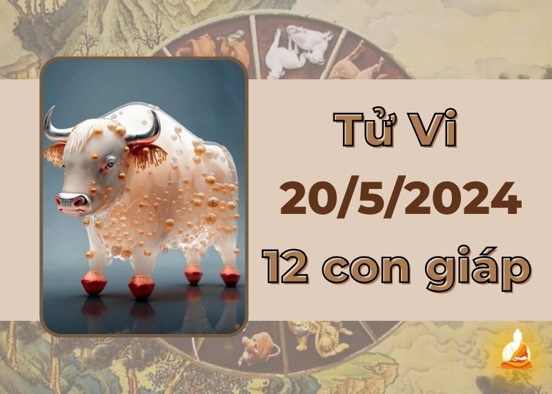 Xem tử vi hàng ngày 12 con giáp 20/5/2024