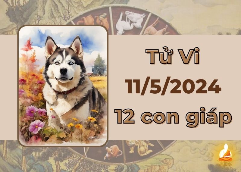 Xem tử vi ngày 11/5/2024 của 12 con giáp: Tuất tài lộc vượng phát, Mão cục diện tương hại