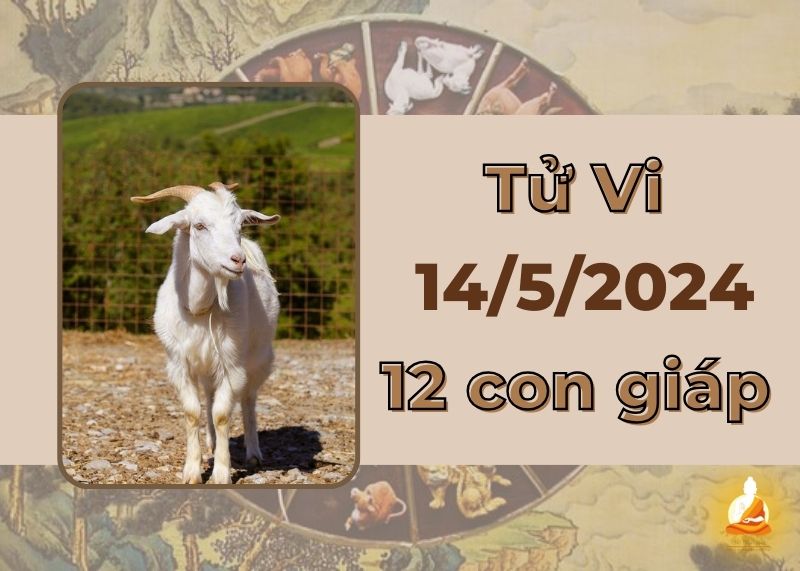 Xem tử vi ngày 14/5/2024 của 12 con giáp: Mùi tình cảm thăng cao, Hợi không nên tự cao