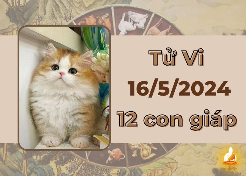 Xem tử vi ngày 16/5/2024 của 12 con giáp: Mão ngập tràn tình yêu, Tỵ cẩn thận cả tin